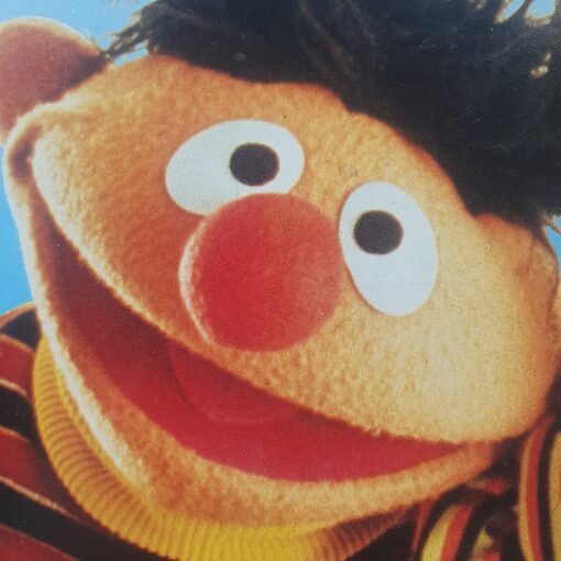 Bert & Ernie | Sesamstraat - Afbeelding 2
